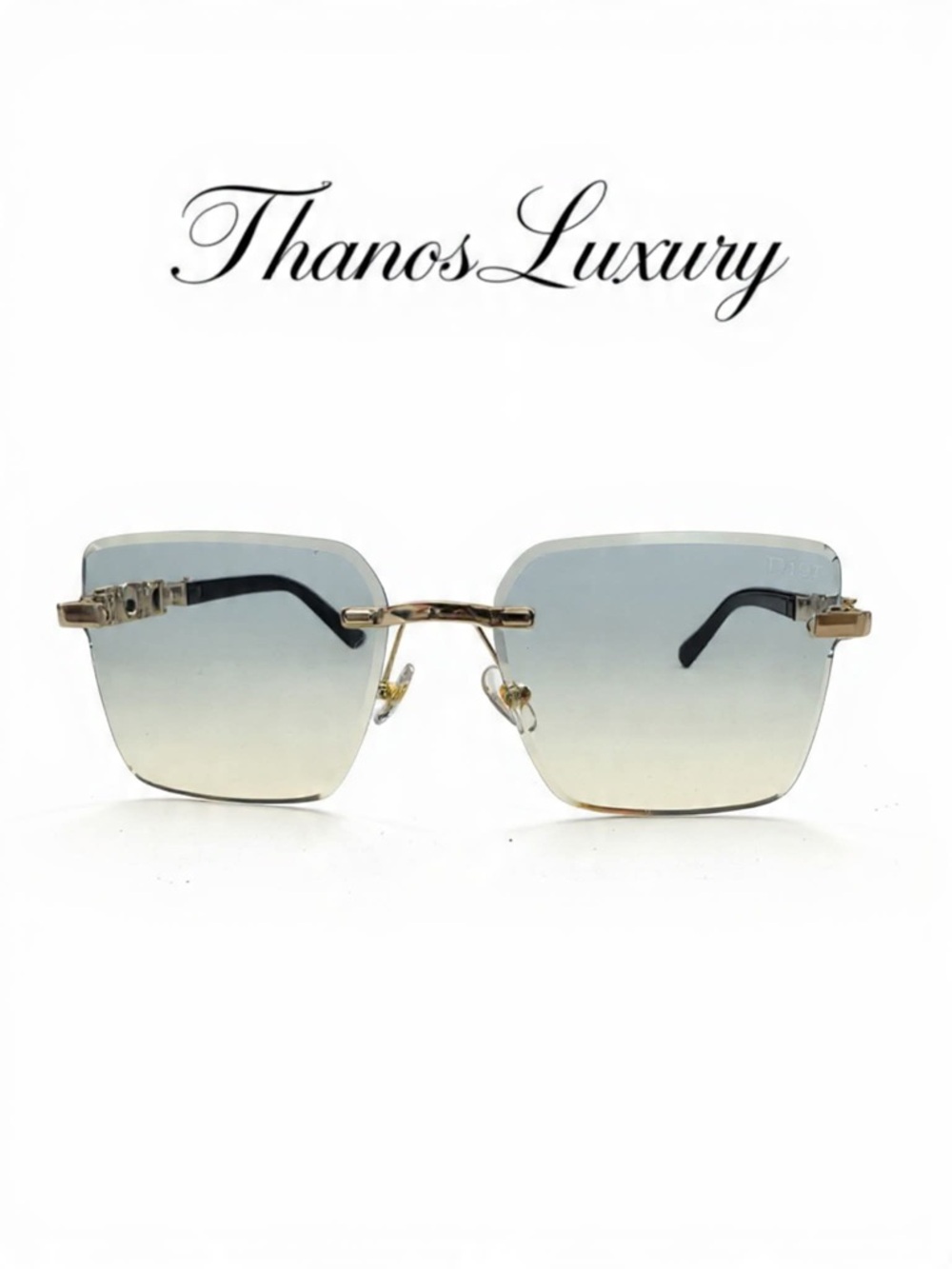 ThanosLuxury DIOR! NOT (Mystery Handbag INCL)